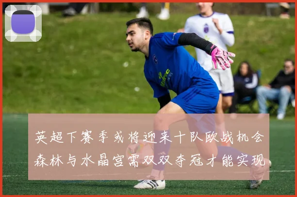 英超下赛季或将迎来十队欧战机会森林与水晶宫需双双夺冠才能实现